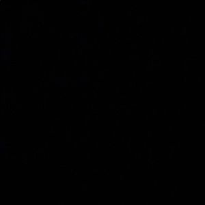 Meet your Posher, Perla